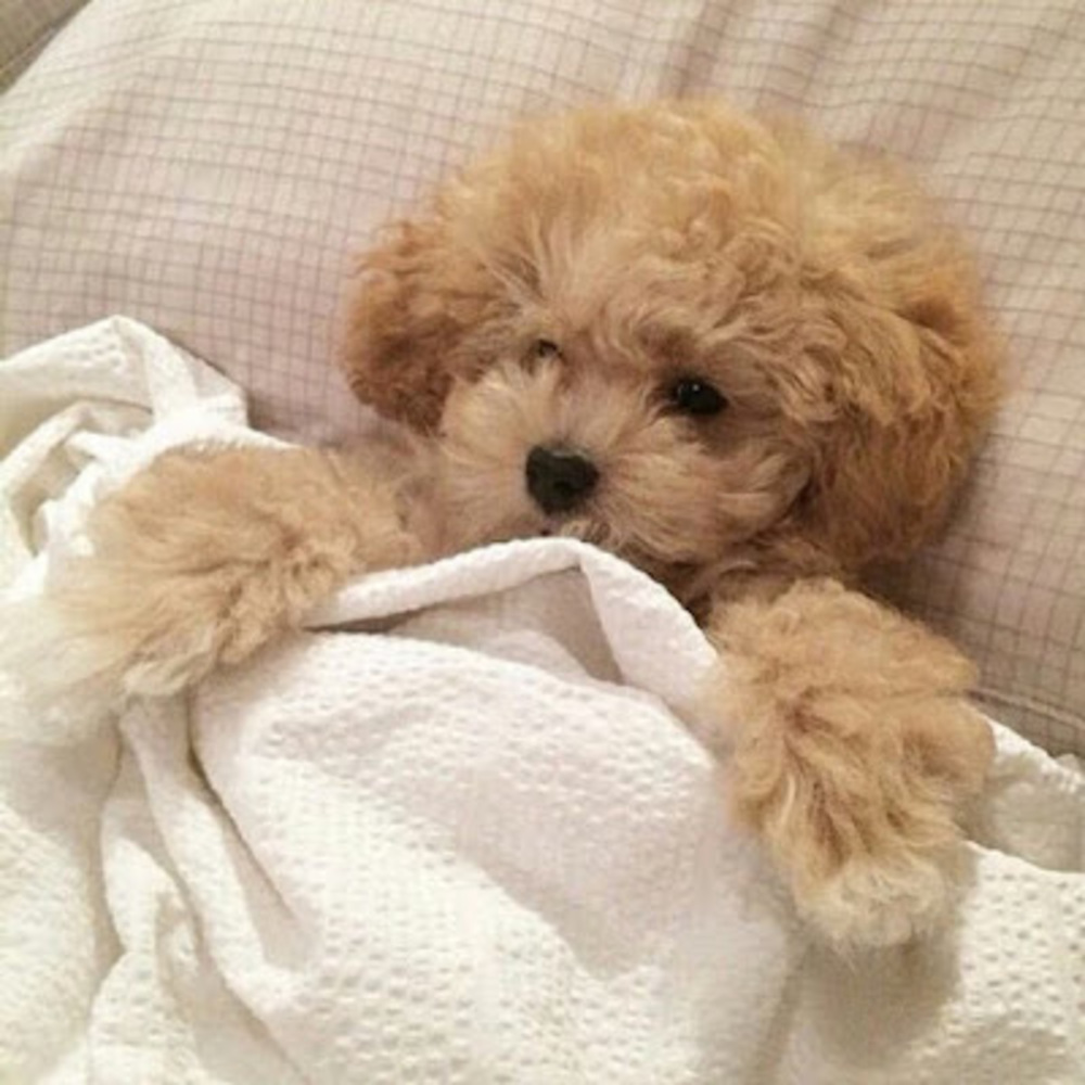 Meet your Posher, Kathy